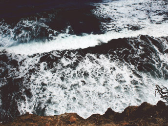 Deep Blue Sea 4